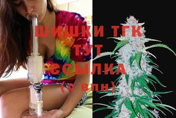 гидропоника Вяземский