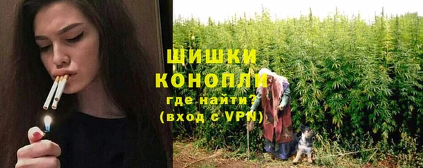 гидропоника Вяземский